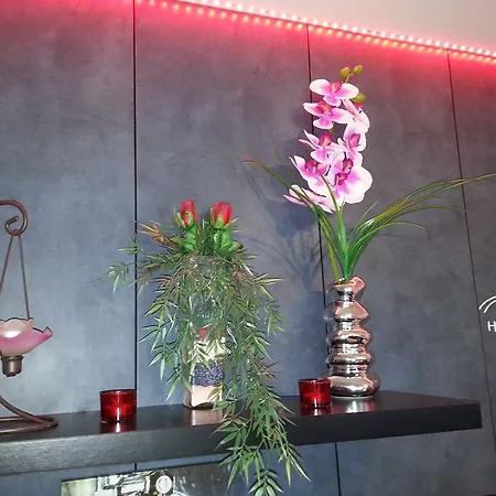 Le 13 Bvd Guest house Lourdes